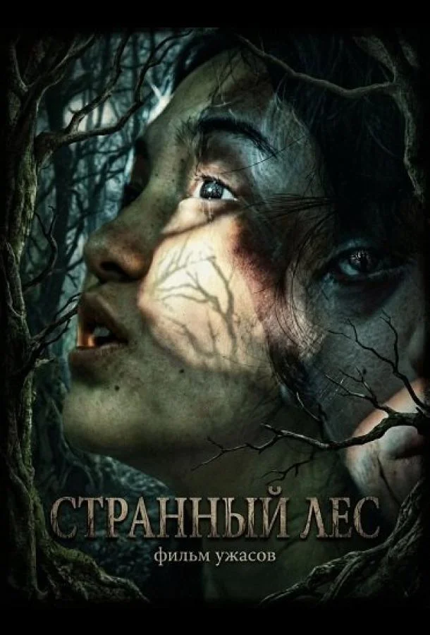 Странный лес 2025 смотреть фильм онлайн